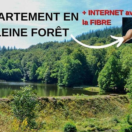 Appartement Aux Sources De La Chabanne Saint-Hilaire-les-Courbes Exteriör bild
