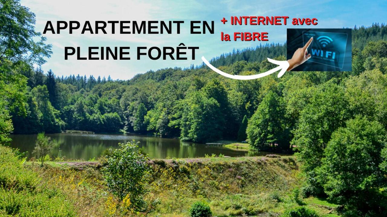 Appartement Aux Sources De La Chabanne Saint-Hilaire-les-Courbes Exteriör bild